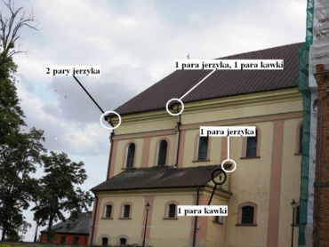 Nadzory przyrodnicze